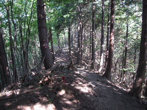 20151014hike (165)